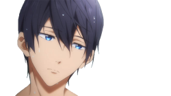 haru wet Meme Template