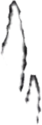 Freddie Schrödinger and Bingo Heeler horns Meme Template