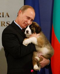 putin s dog Meme Template