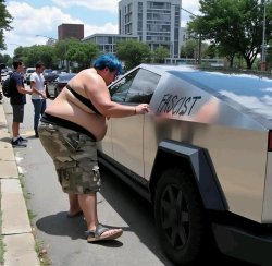 Wokester vandalizing a Tesla Meme Template