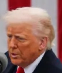 Donald Trump Tariff Meme Template