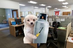 puppy gas Meme Template