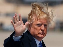 Hairstyle trump Meme Template