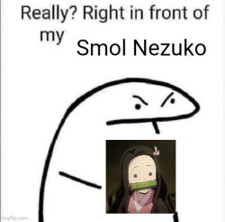 Smol Nezuko Meme Template
