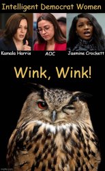 Female Democrats vs Wise Owl Meme Template