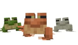 Minecraft Frogs Meme Template
