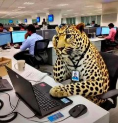 Leopard Customer Service Meme Template