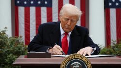 trump Meme Template