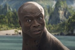 Seal Seal Meme Template