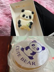 Funny Panda Meme Template
