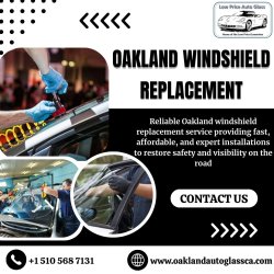 Oakland Windshield Replacement Meme Template