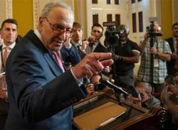 Chuck Schumer Meme Template