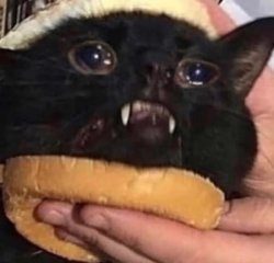 Crying Catburger Meme Template