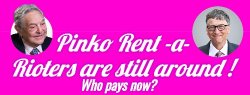 Pinko Rent a Rioters still around Meme Template