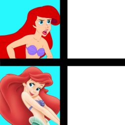 ariel hates and likes blank Meme Template