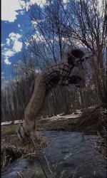 therian jumping Meme Template