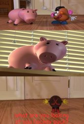 what are you looking at Meme Template