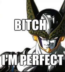 Bitch I'm perfect Meme Template