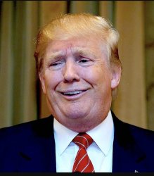Donald Trump Meme Template