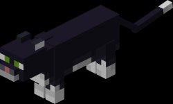 Minecraft cat Meme Template