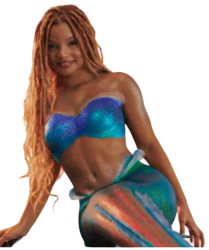 halle mermaid Meme Template