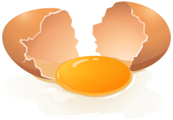 Broken egg Meme Template