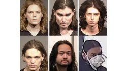 Zizian Trans Vegan Cult Members Meme Template