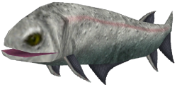 Cheirolepis (FMM UV-32) Meme Template