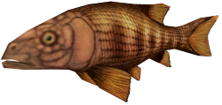 Semionotus (FMM UV-32) Meme Template