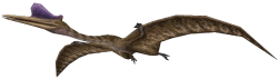 Aerotitan (FMM UV-32) Meme Template