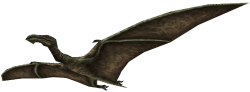 Nesognathus Meme Template
