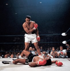 Boxing Meme Template
