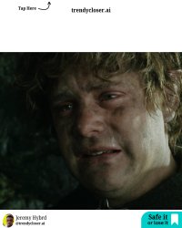 _m4 apr oct w1 - 11 - The Lord of the Rings Pippin pain Meme Template