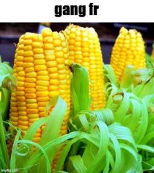This corny gang Meme Template