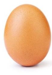 The egg Meme Template