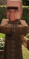 Villager Meme Template