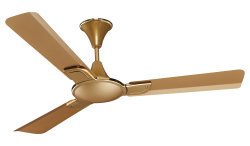 Fan Meme Template