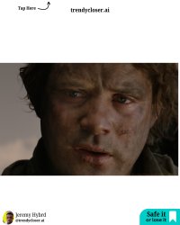 _m4 apr oct w2 - 21 - Frodo The Lord of the Rings Meme Template