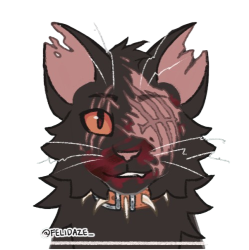Shadowpaws Meme Template