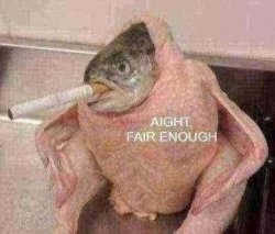 aight fair enough fish Meme Template