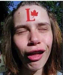 Liberal idiot Meme Template