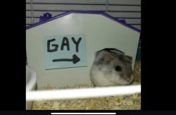 Lemmywinks Meme Template