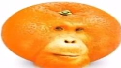 Duality of Man Meme Template