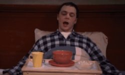 Sheldon Cooper I'm dying Meme Template