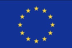 EU flag Meme Template