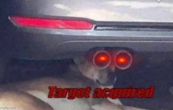 TARGET ACQUIRED Meme Template