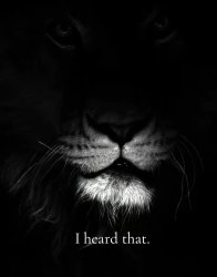 the lion heard you Meme Template