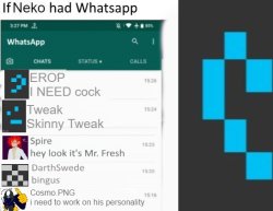 If Neko had whatsapp updated Meme Template