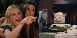 Karen vs. Trumpy Cat Meme Template