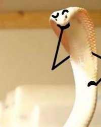 Hmmmsnek Meme Template